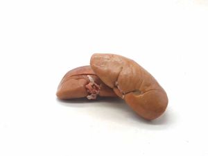 gekochte Schweinenieren (tiefgekühlt)- 2 Stück-Pollux